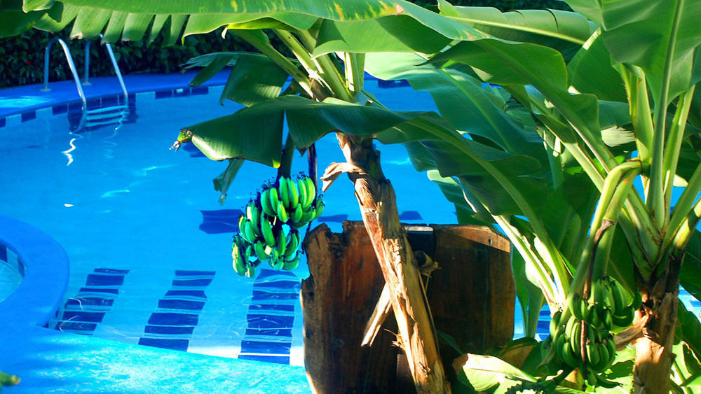 Hotel South Beach - Beachfront Jacó Exterior foto